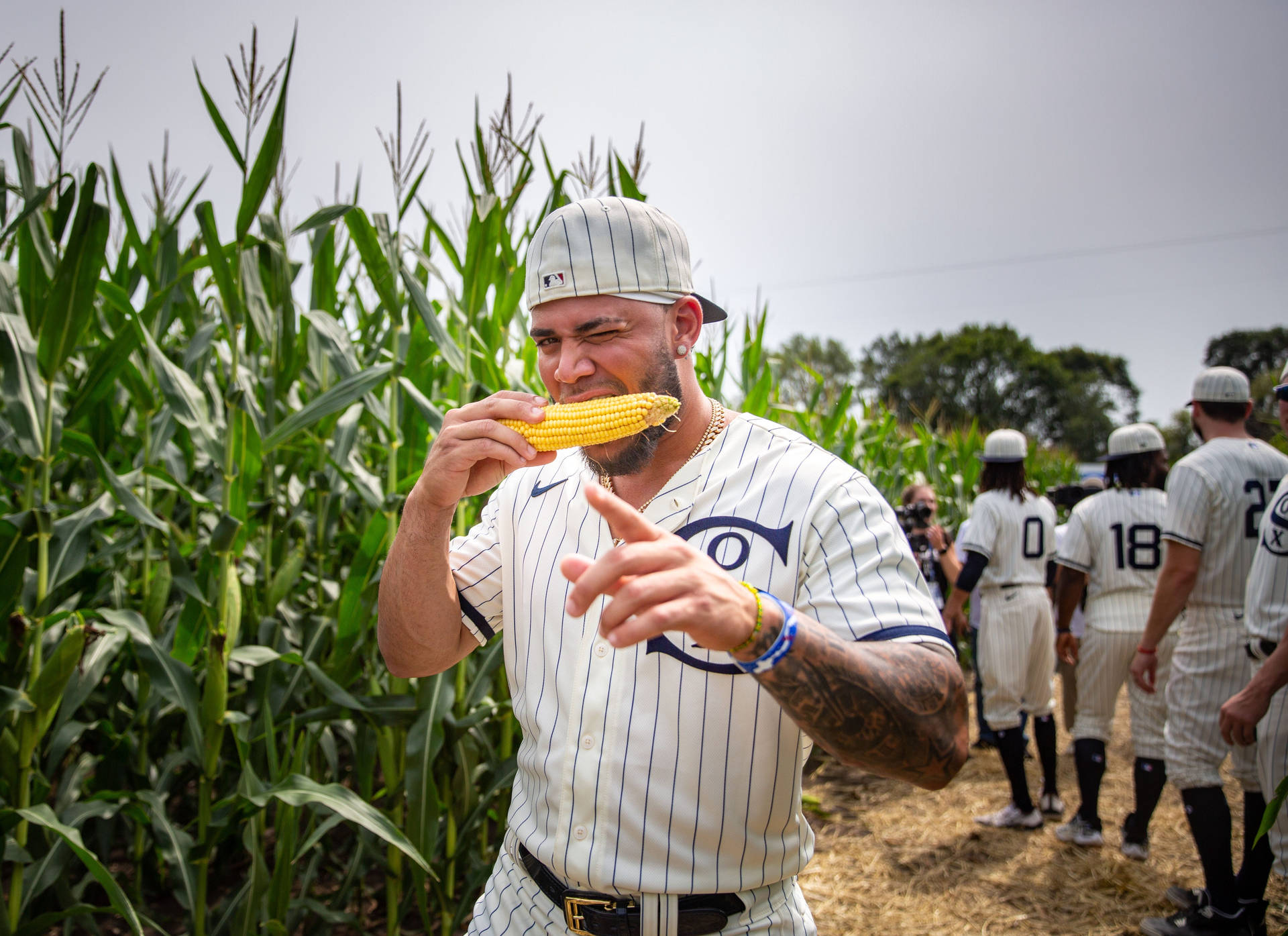 Yoan Moncada Eating Corn Background