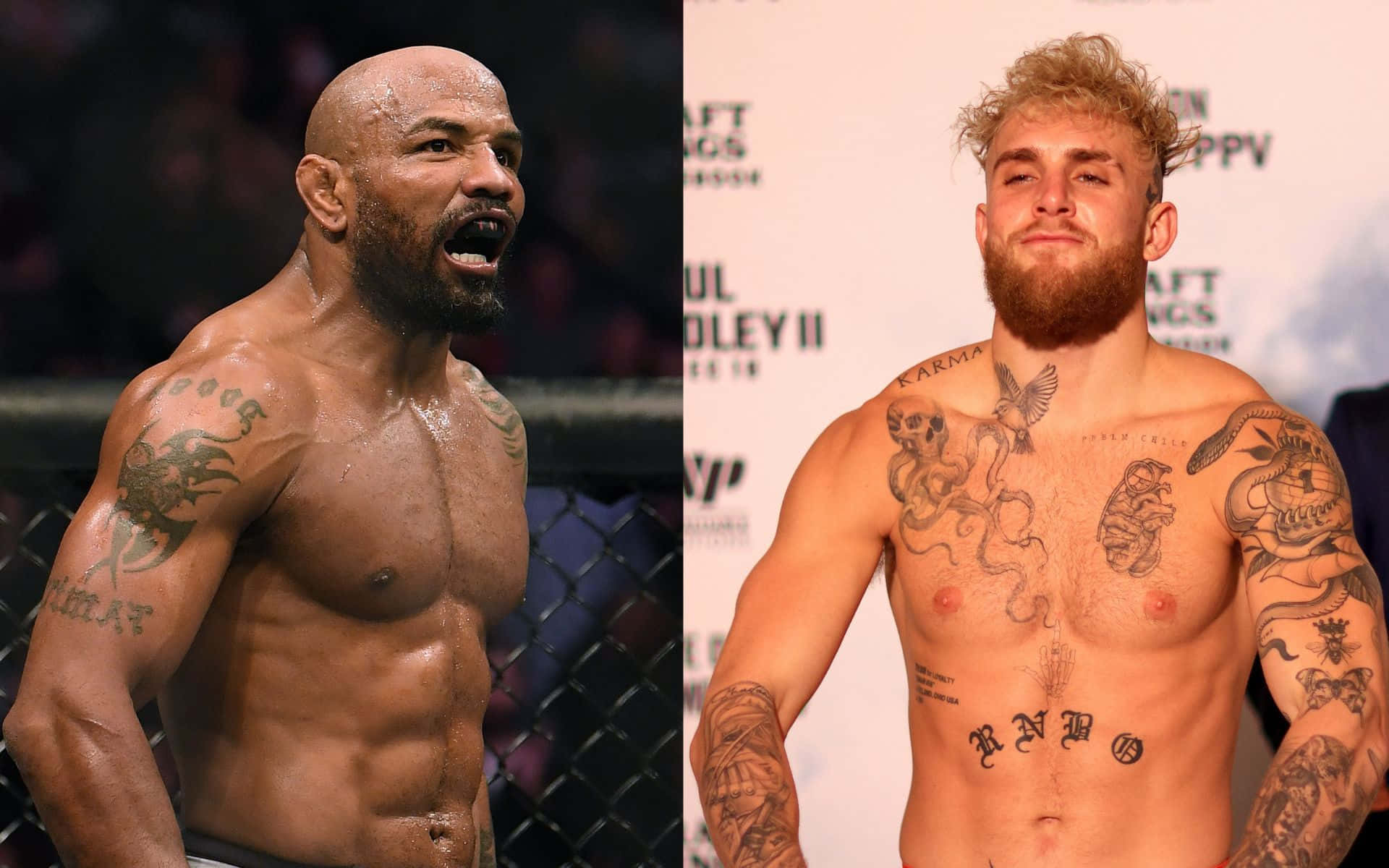 Yoel Romero And Jake Paul Collage Background