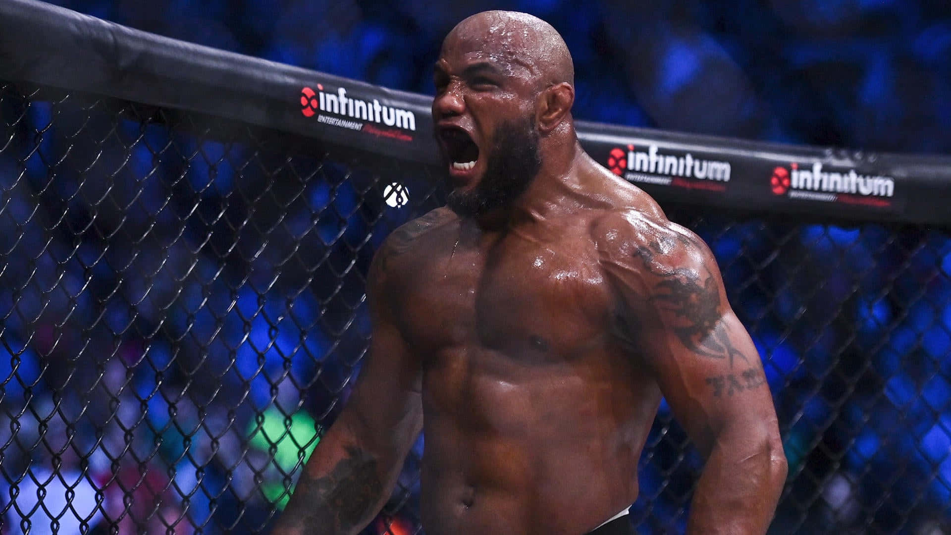 Yoel Romero Celebrating Victory At Bellator 285 Background