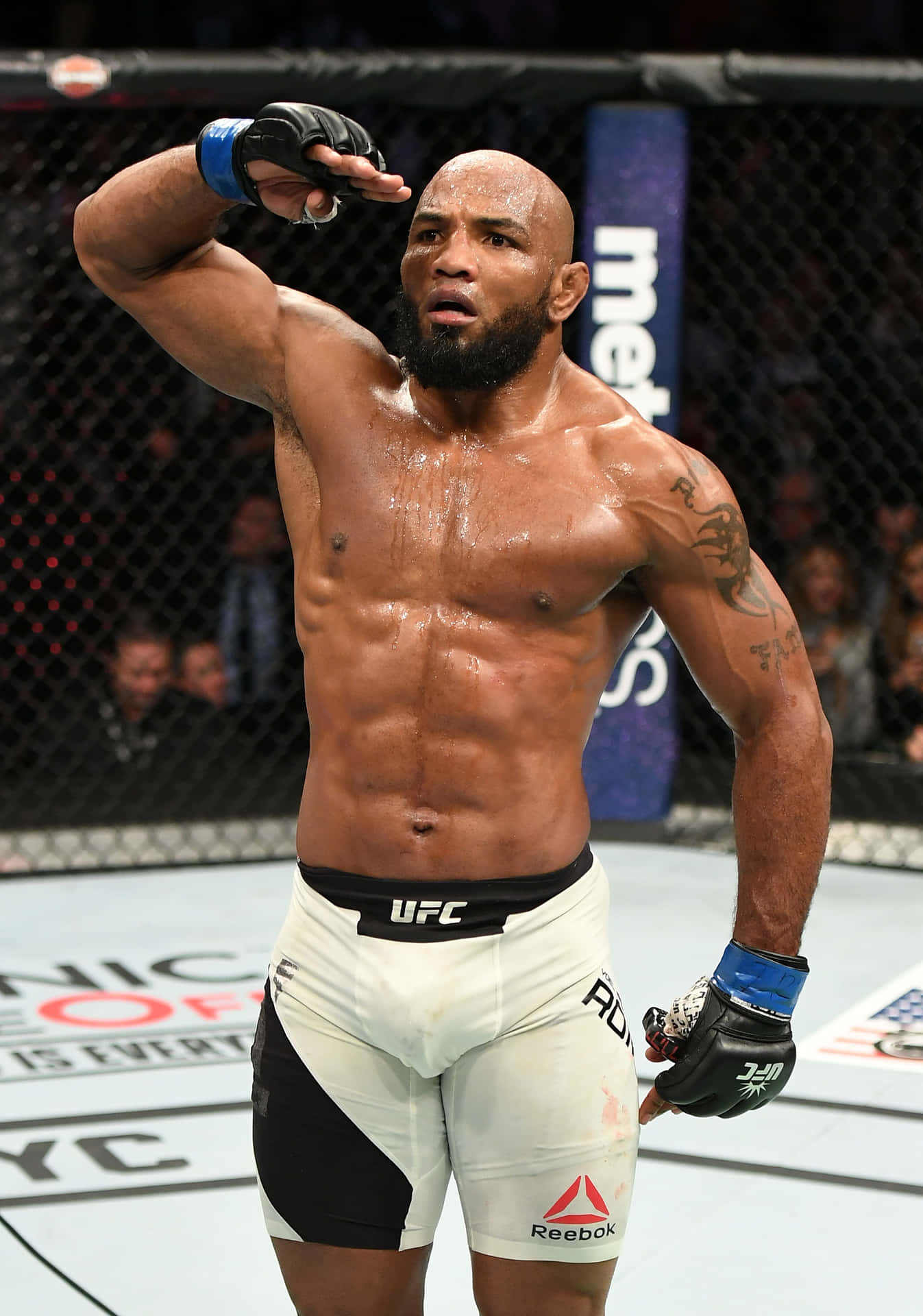 Yoel Romero Salutation At Ufc 205 Background