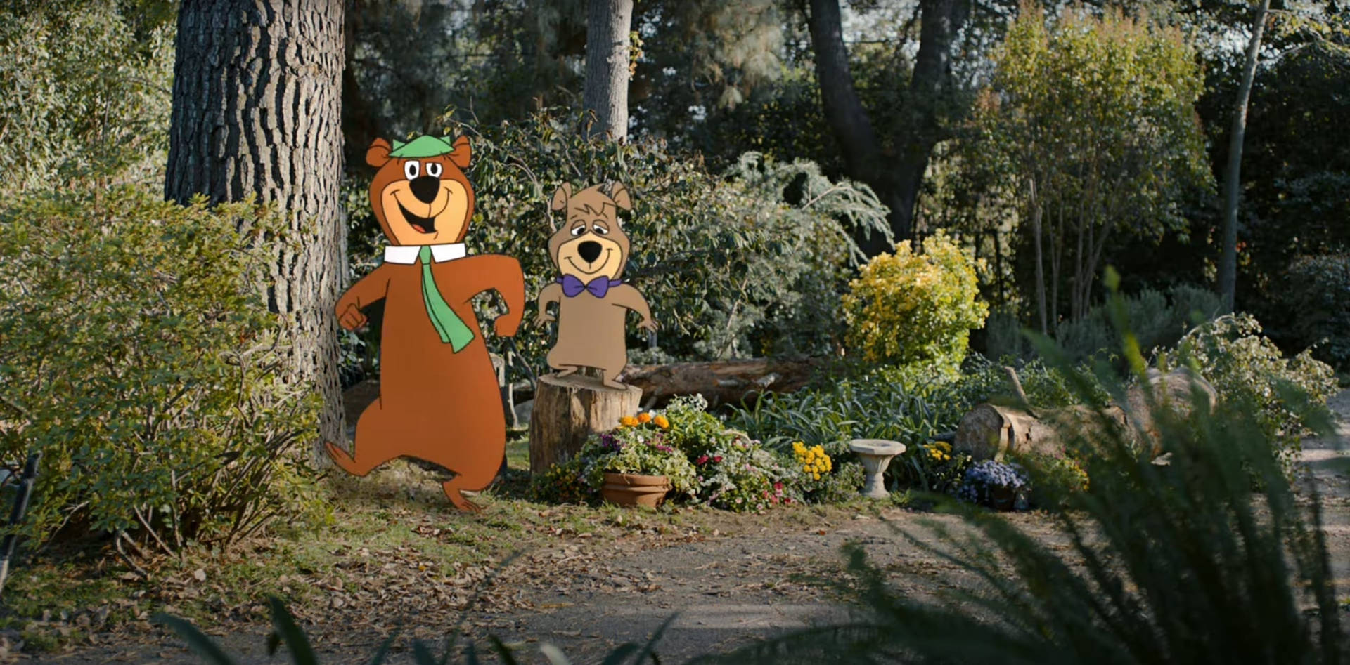 Yogi Bear Geico Ad