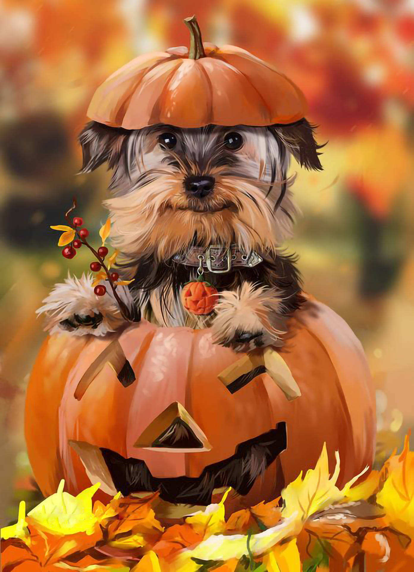 Yorkie Puppy Jack-o'-lantern Background
