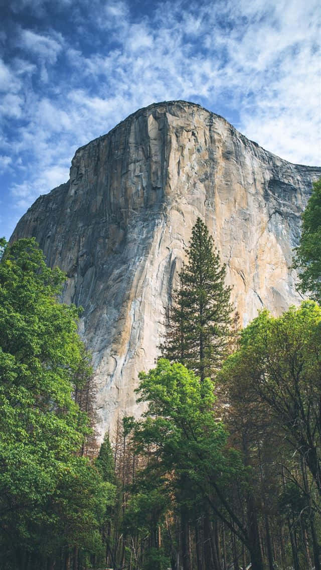 Yosemite_ El_ Capitan_ Majesty.jpg Background