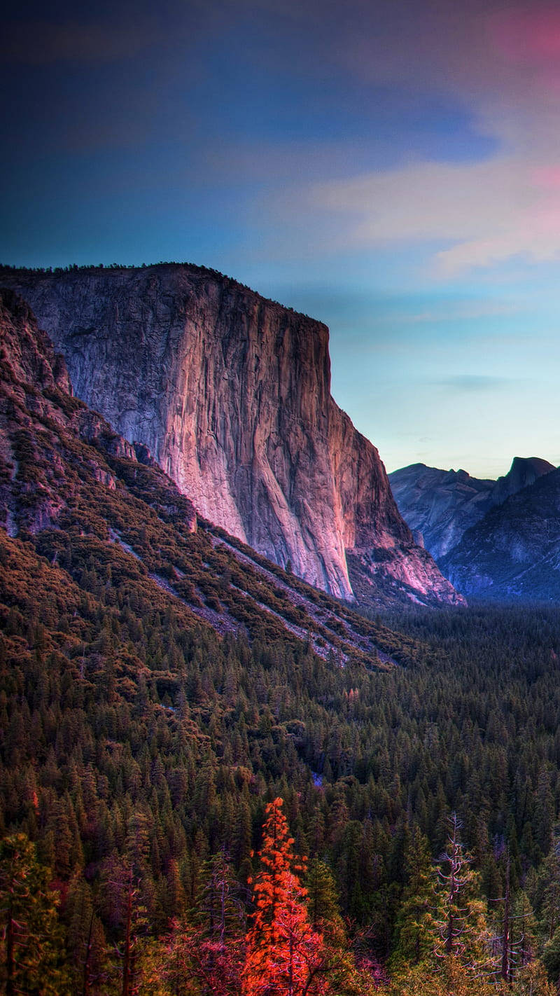 Yosemite Iphone 800 X 1422 Background