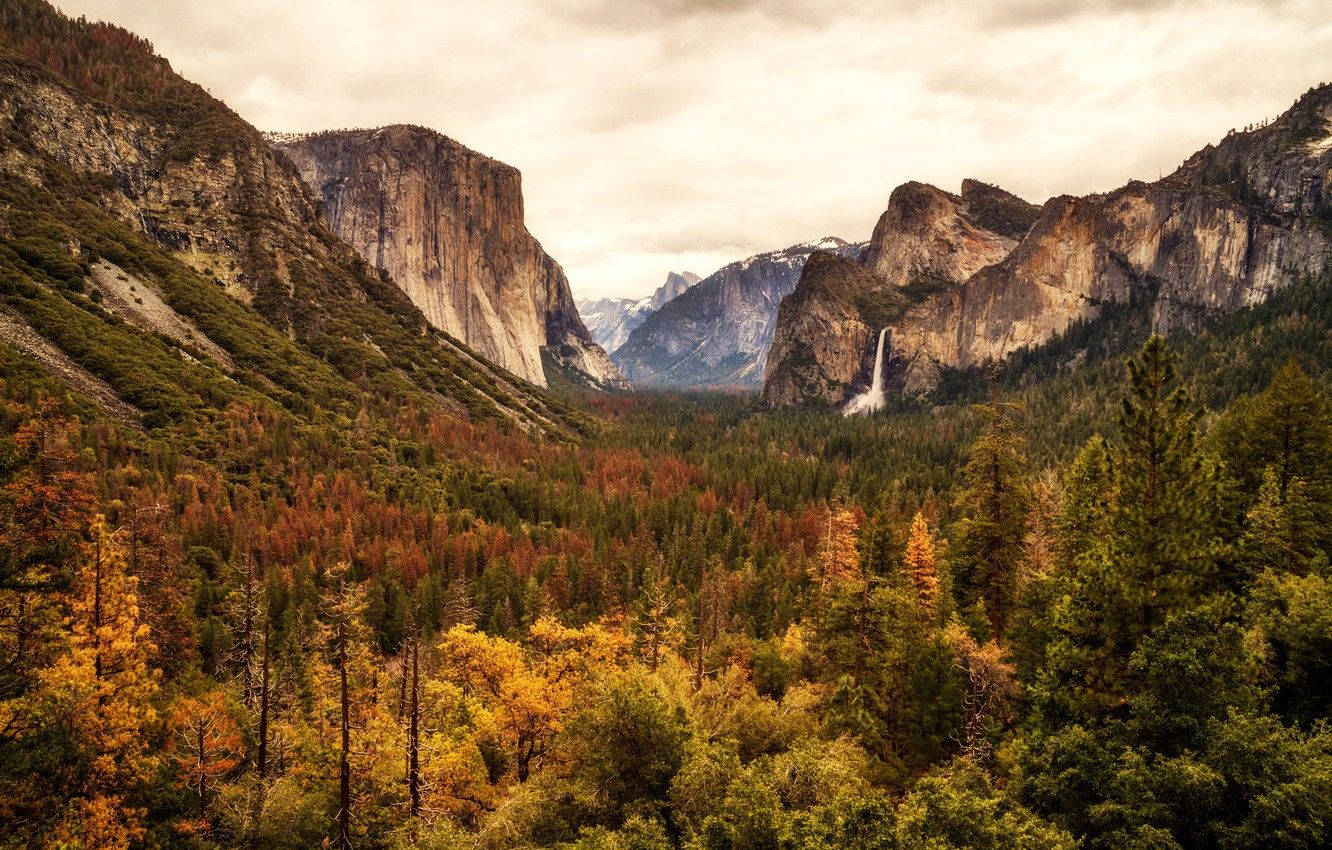 Yosemite National Park Autumn Colors Background