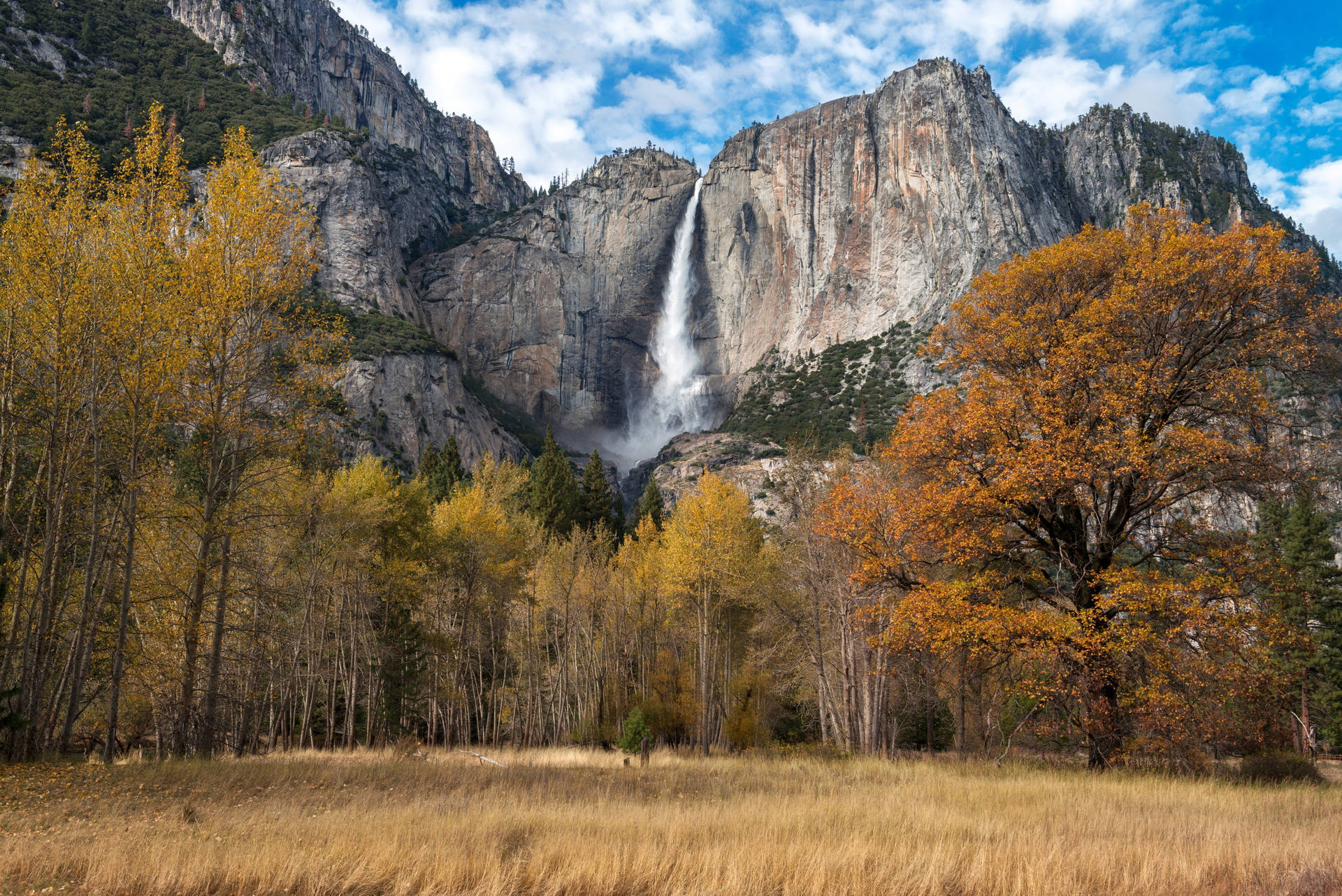 Yosemite National Park Earth Colors Background