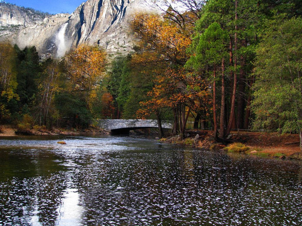 Yosemite National Park Flowing River