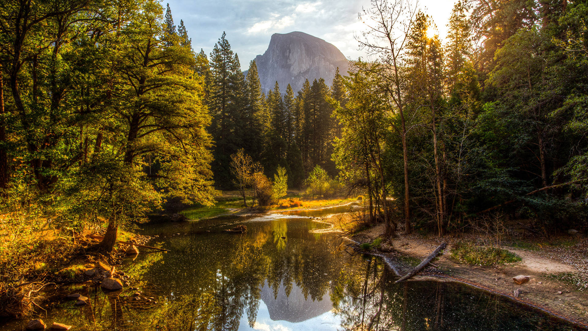 Yosemite National Park Golden Light Background