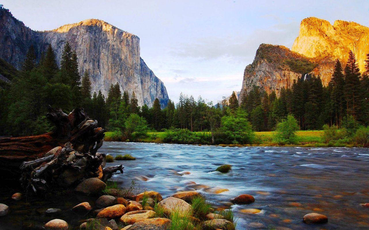 Yosemite National Park Golden Sun Background