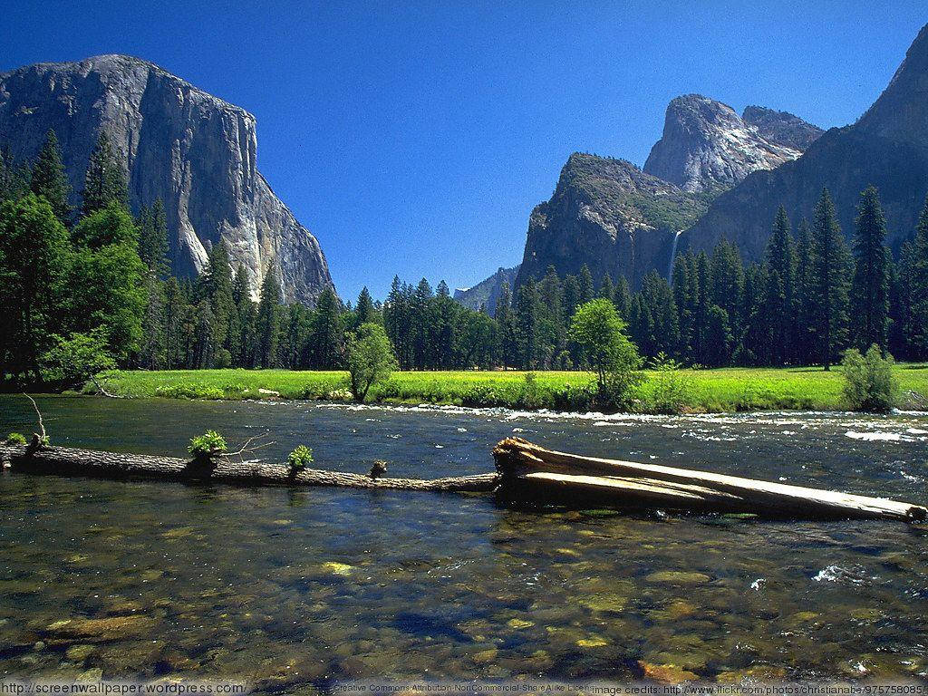 Yosemite National Park River Background