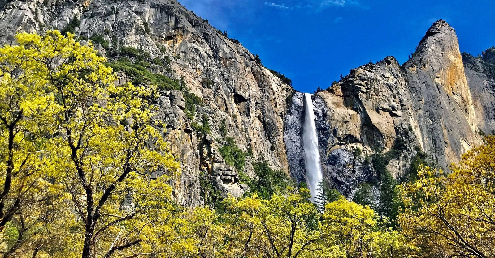 Yosemite National Park Spring Background