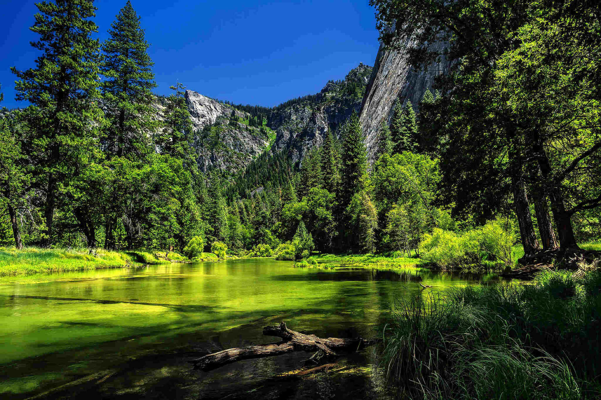 Yosemite_ Valley_ Serene_ River_ View.jpg