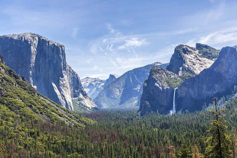Yosemite_ Valley_ Viewpoint Background