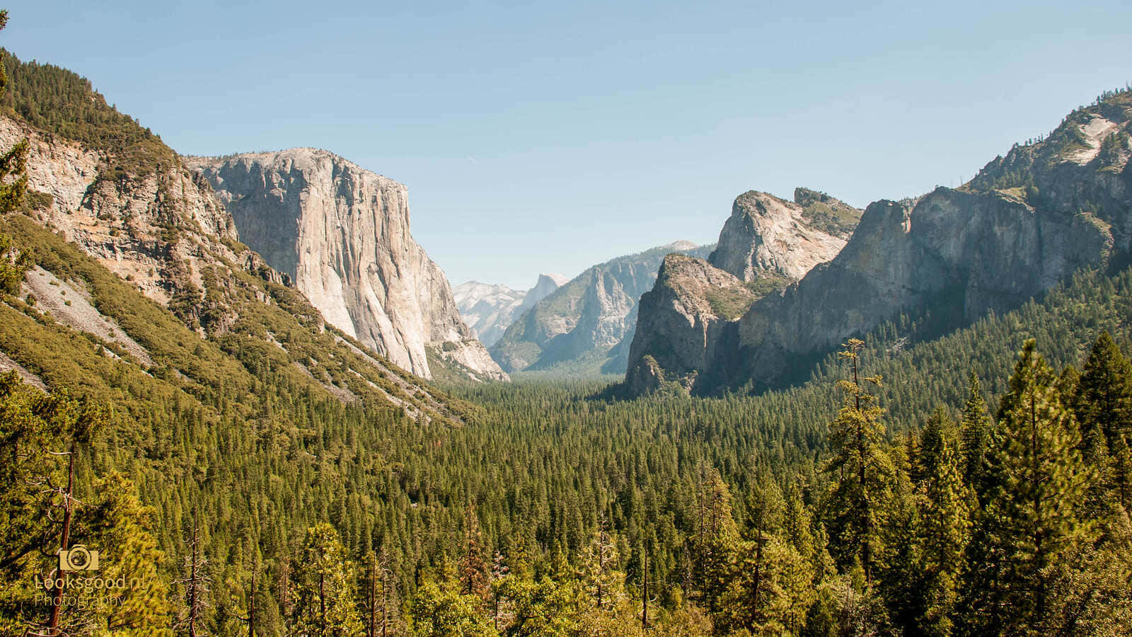 Yosemite_ Valley_ Viewpoint_ Scenery