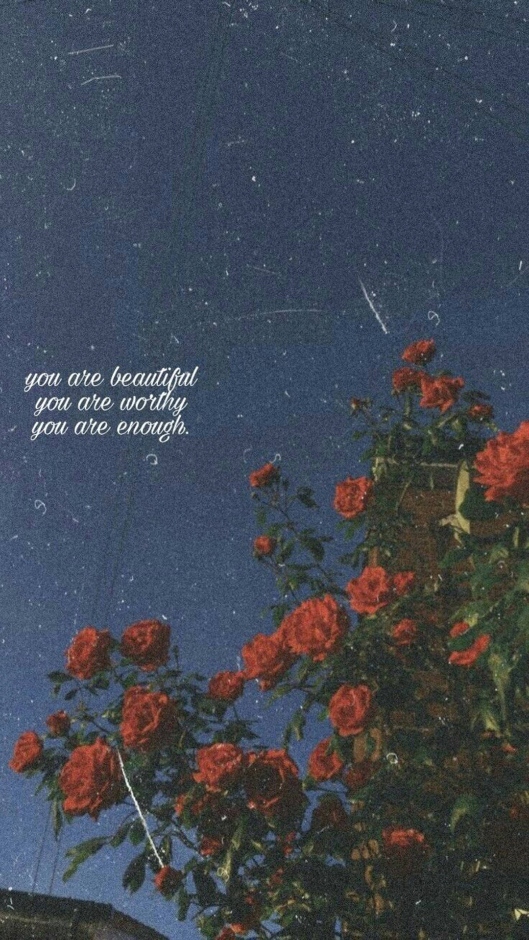 You Are Beautiful Red Roses Background