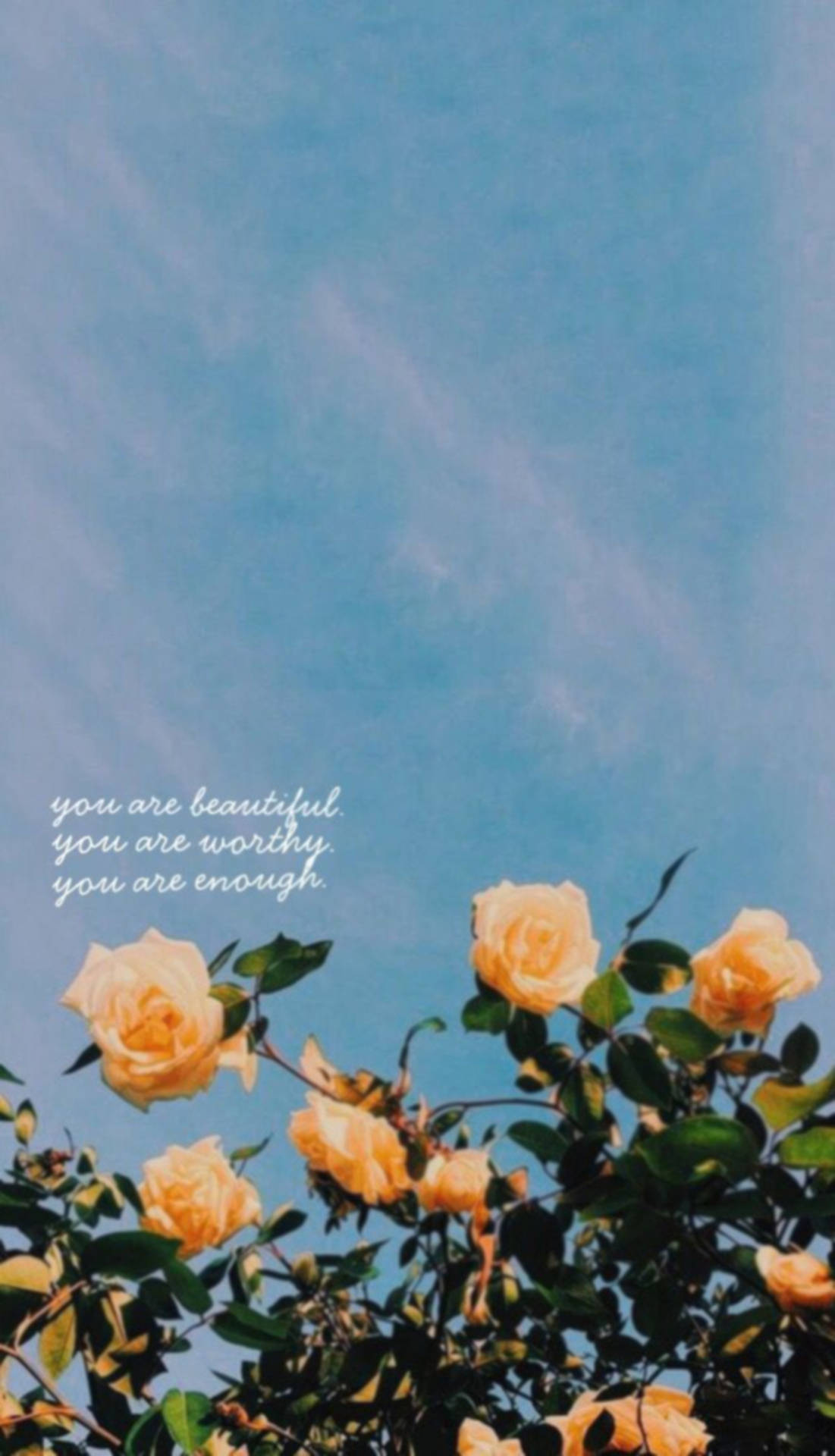 You Are Beautiful Yellow Roses Background