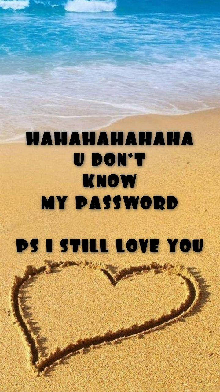 You Don't Know My Password Beach Sign Background