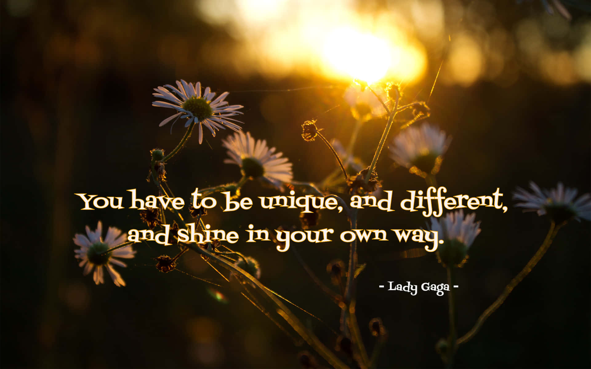 You Have To Be Unique And Different And Shine In Your Own Way