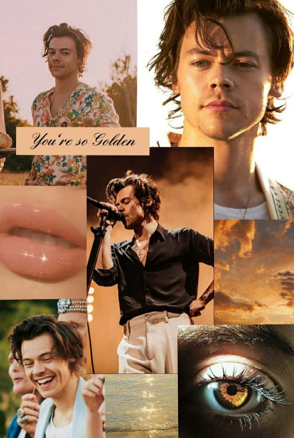 You're So Golden Harry Styles Collage Background