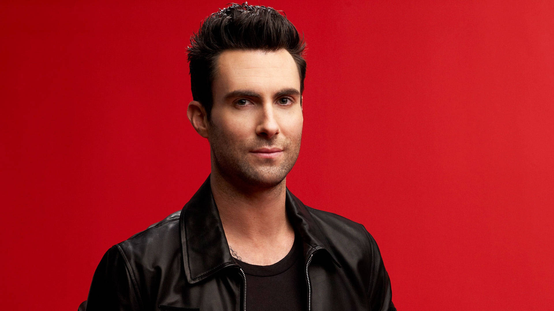 Young Adam Levine Portrait