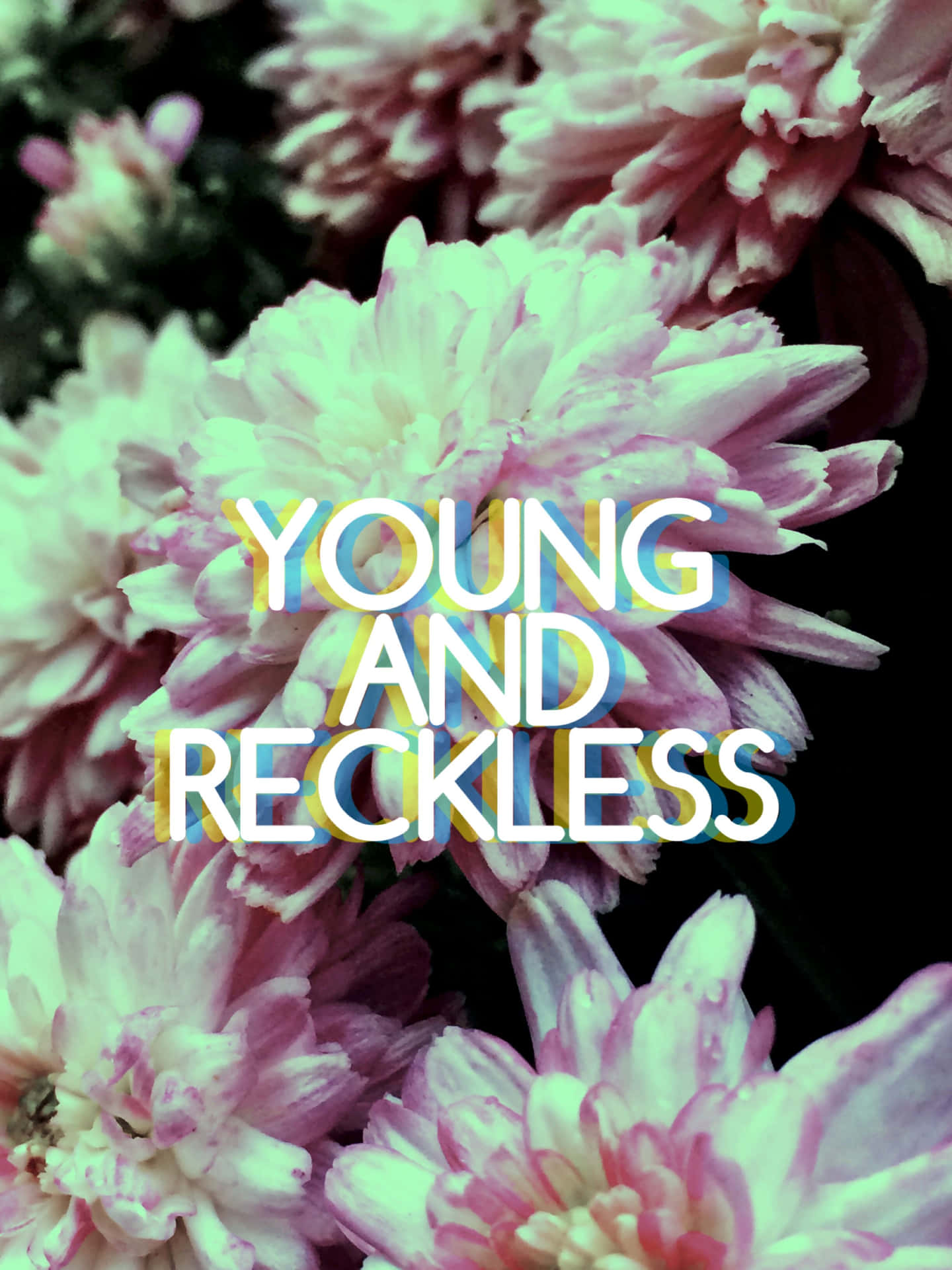 Young And Reckless Quote Background