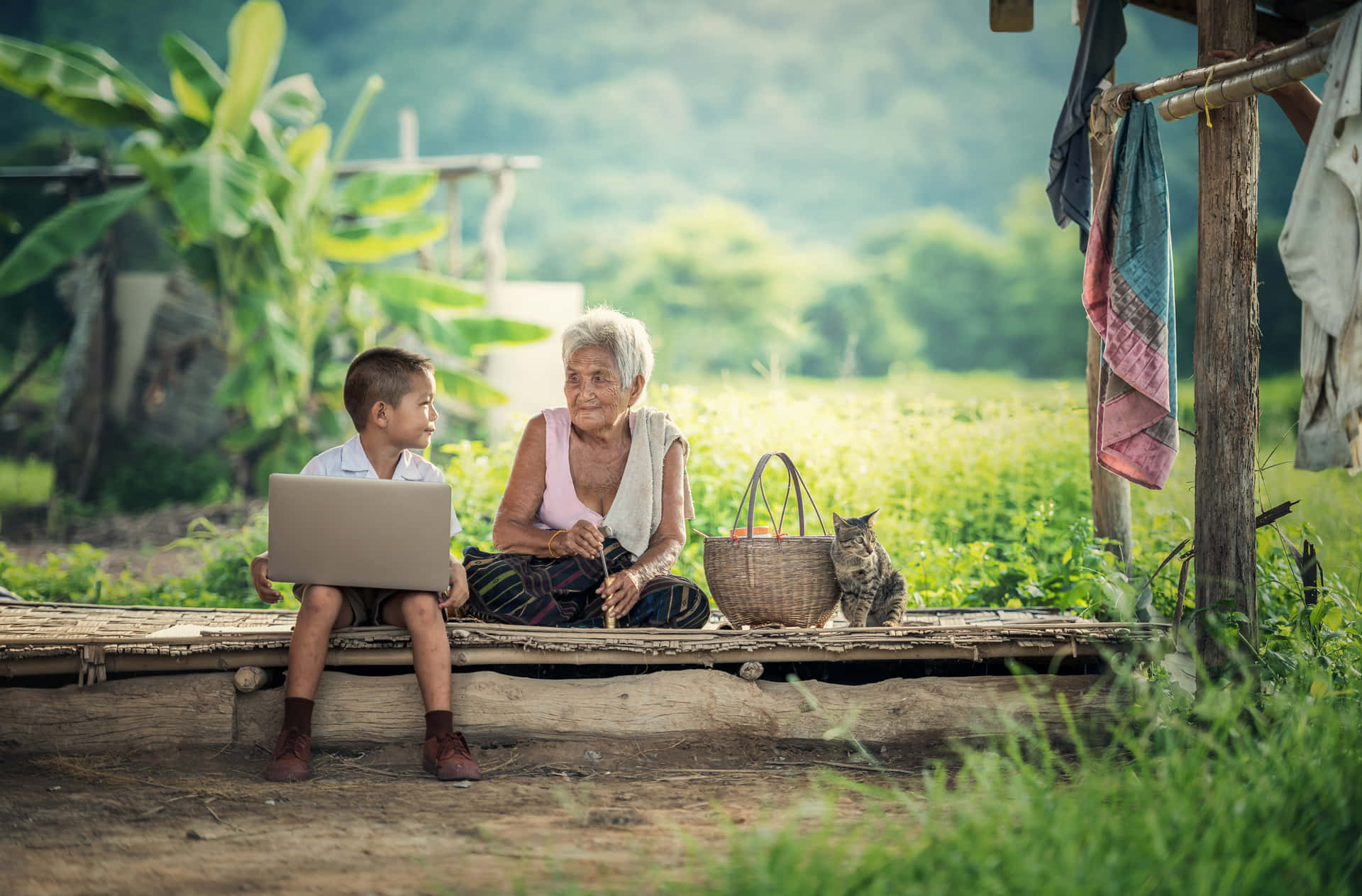 Young Boy Engaged In Online Learning On Teachable Background