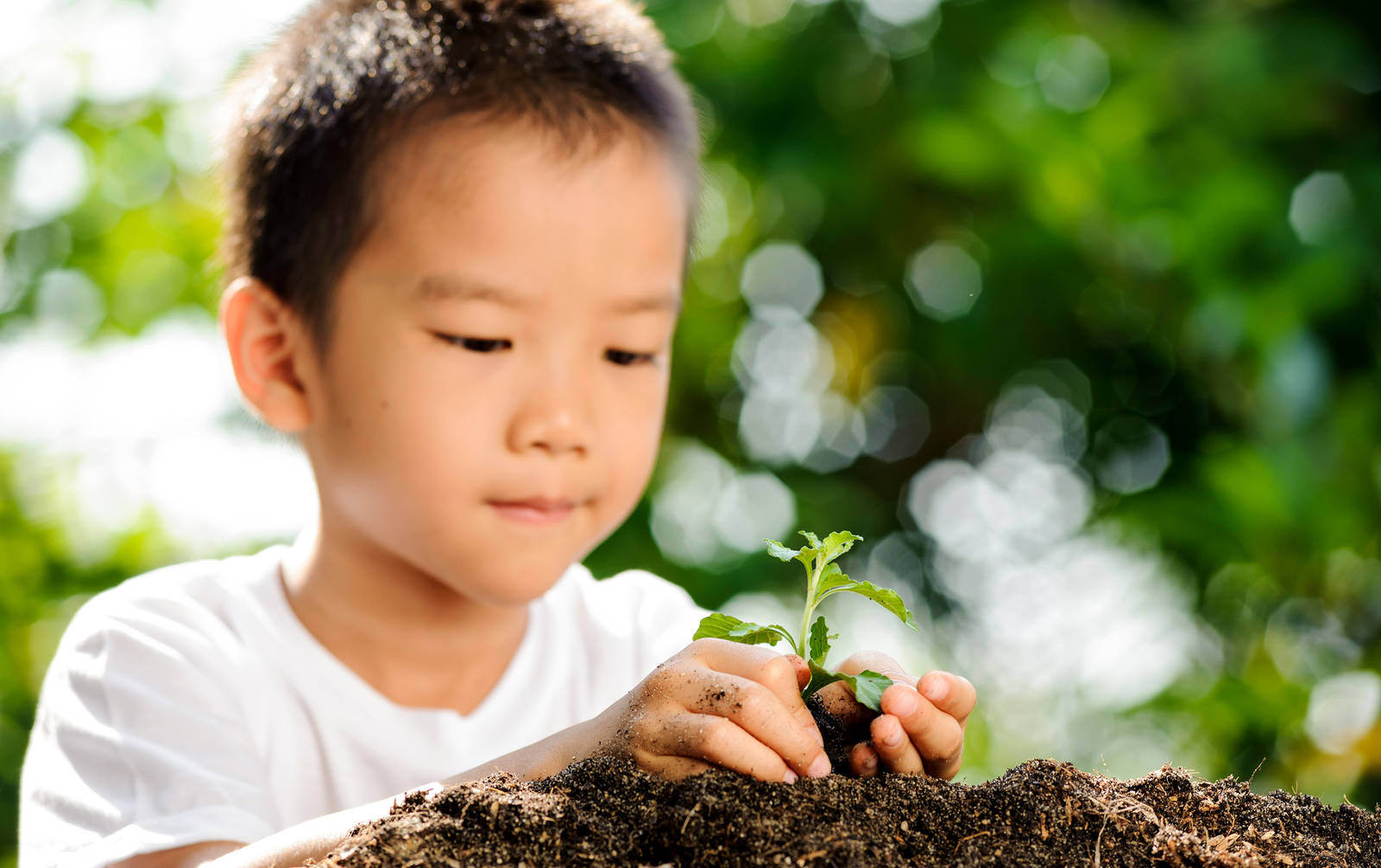 Young Boy Gardening Close-up