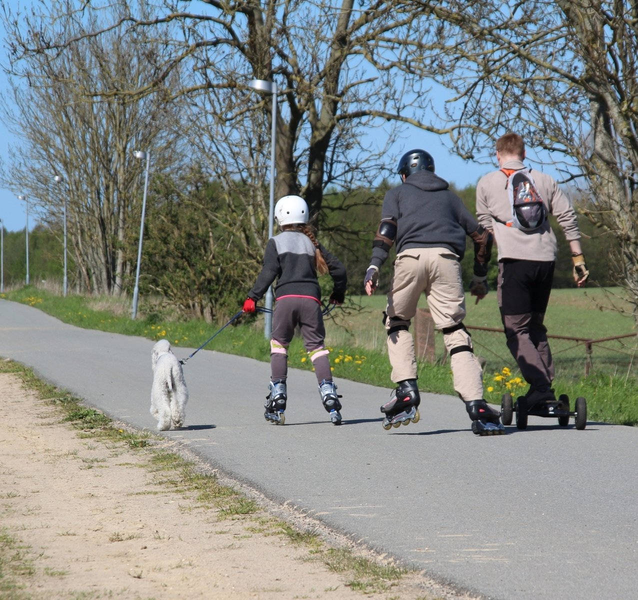 Young Boys Rollerblading With Dog