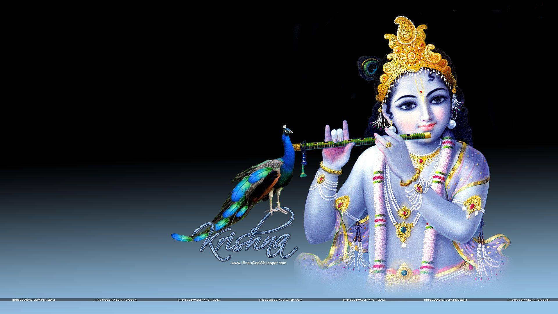 Young Deity Krishna Desktop