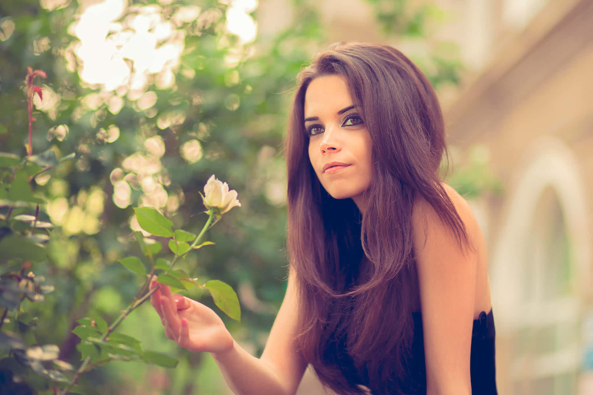 Young Female Model Holding Rose Background