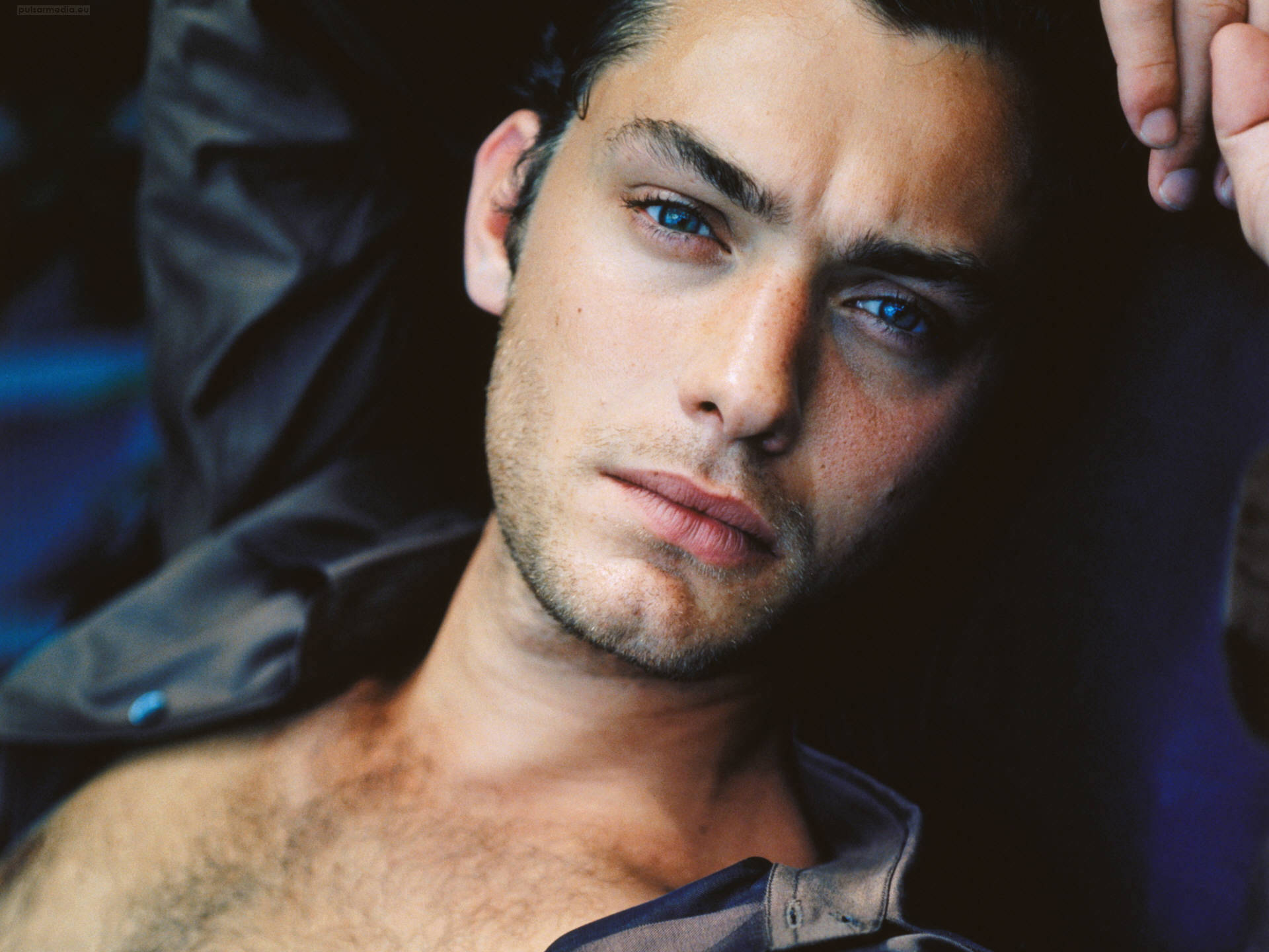 Young Jude Law Male Face