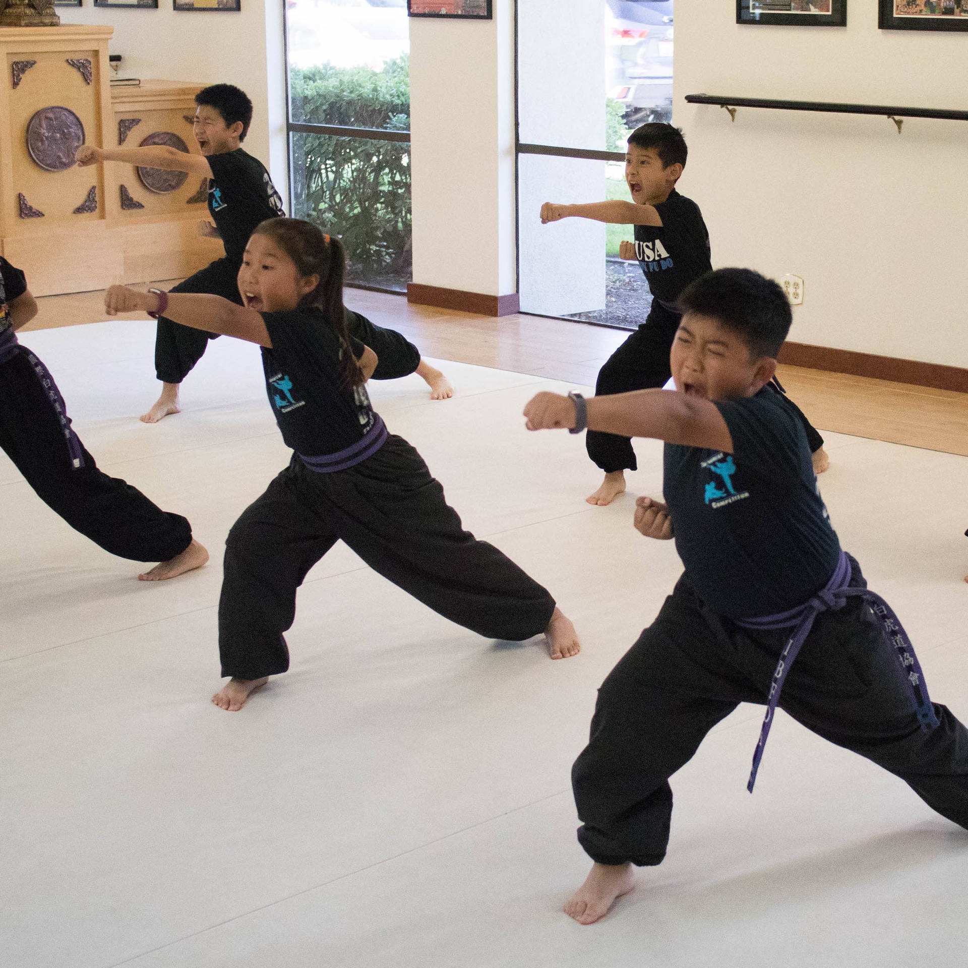 Young Kids Kung Fu Classes Background