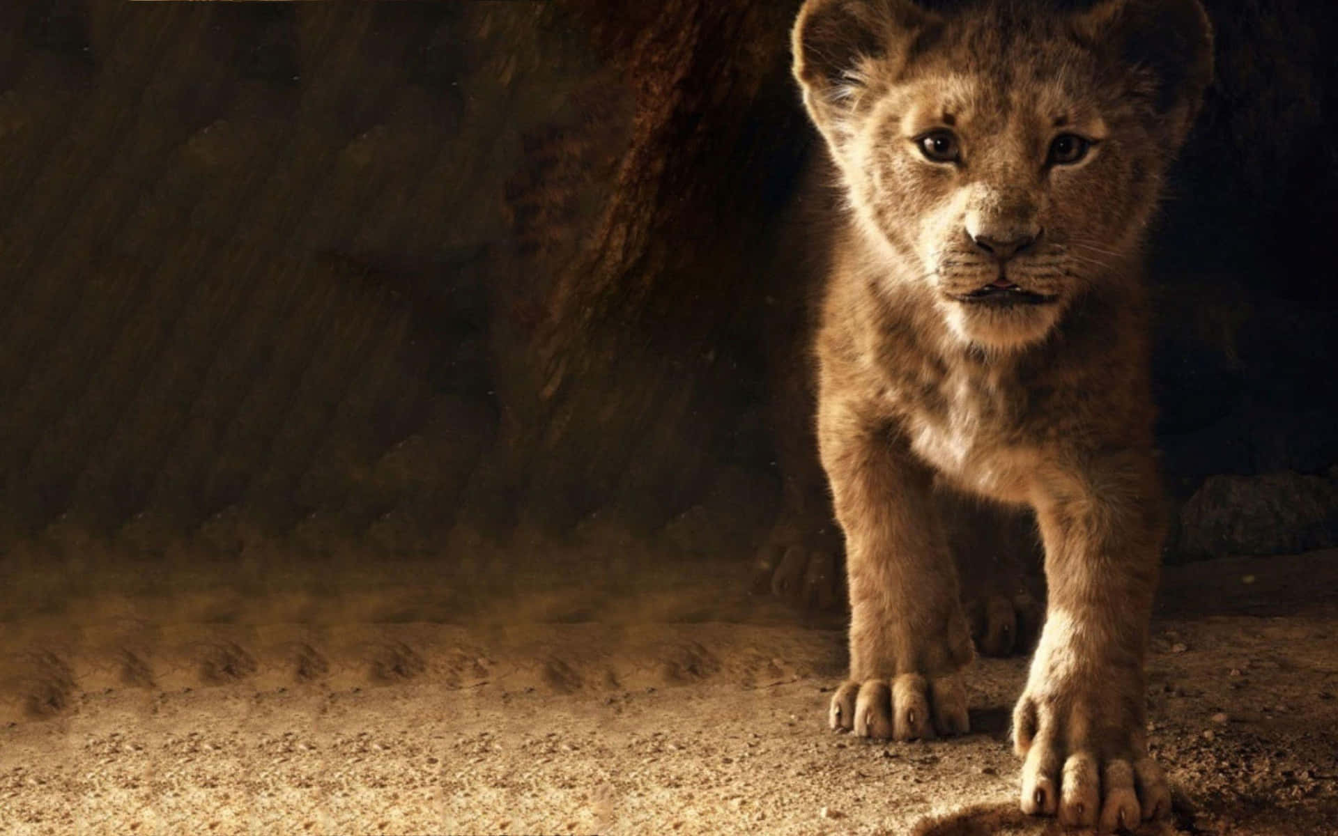 Young Lion Cub Portrait Background