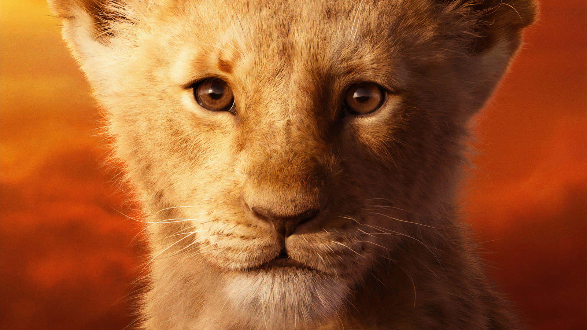 Young Lion King Simba Portrait Background