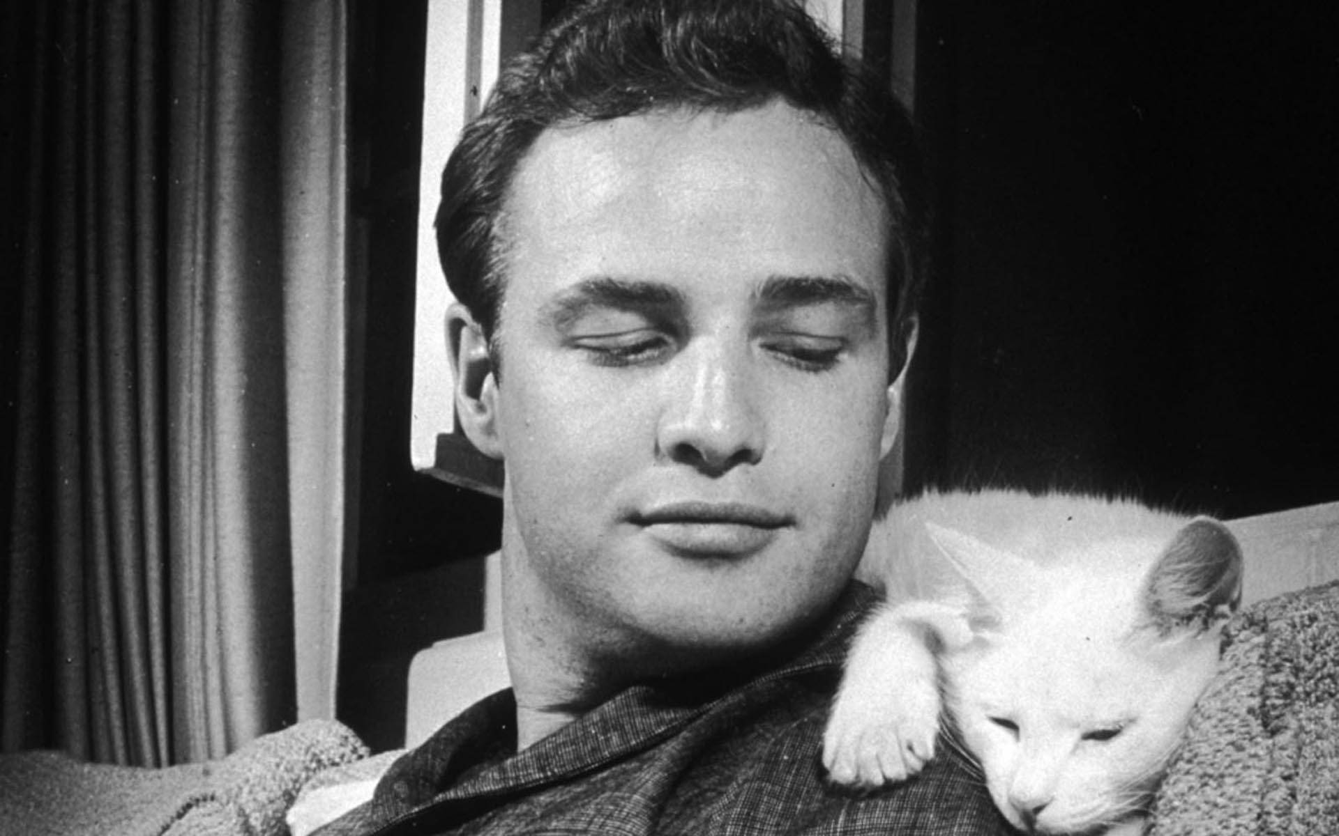 Young Marlon Brando Sitting With White Cat