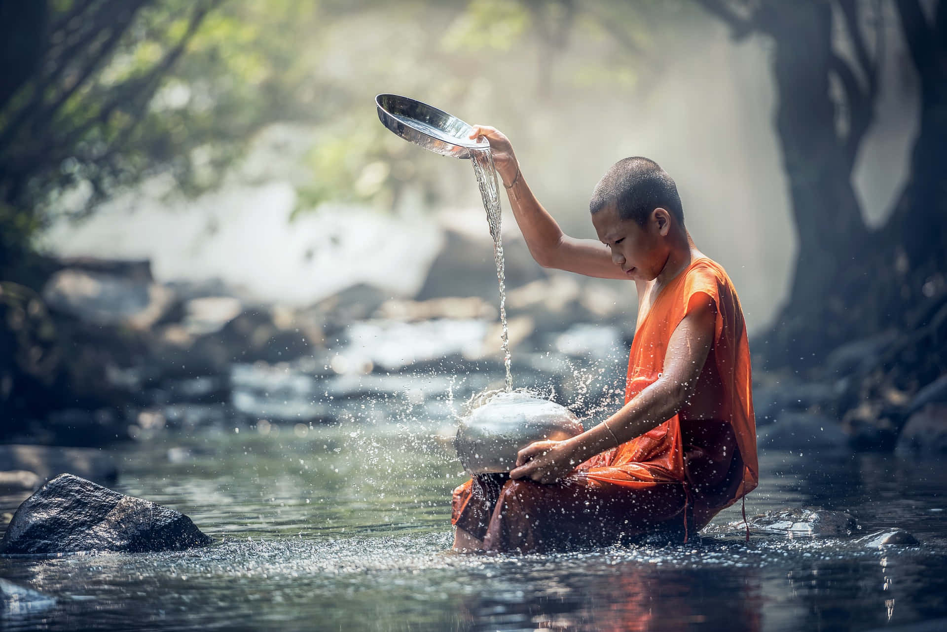 Young Monk Of Mindfulness