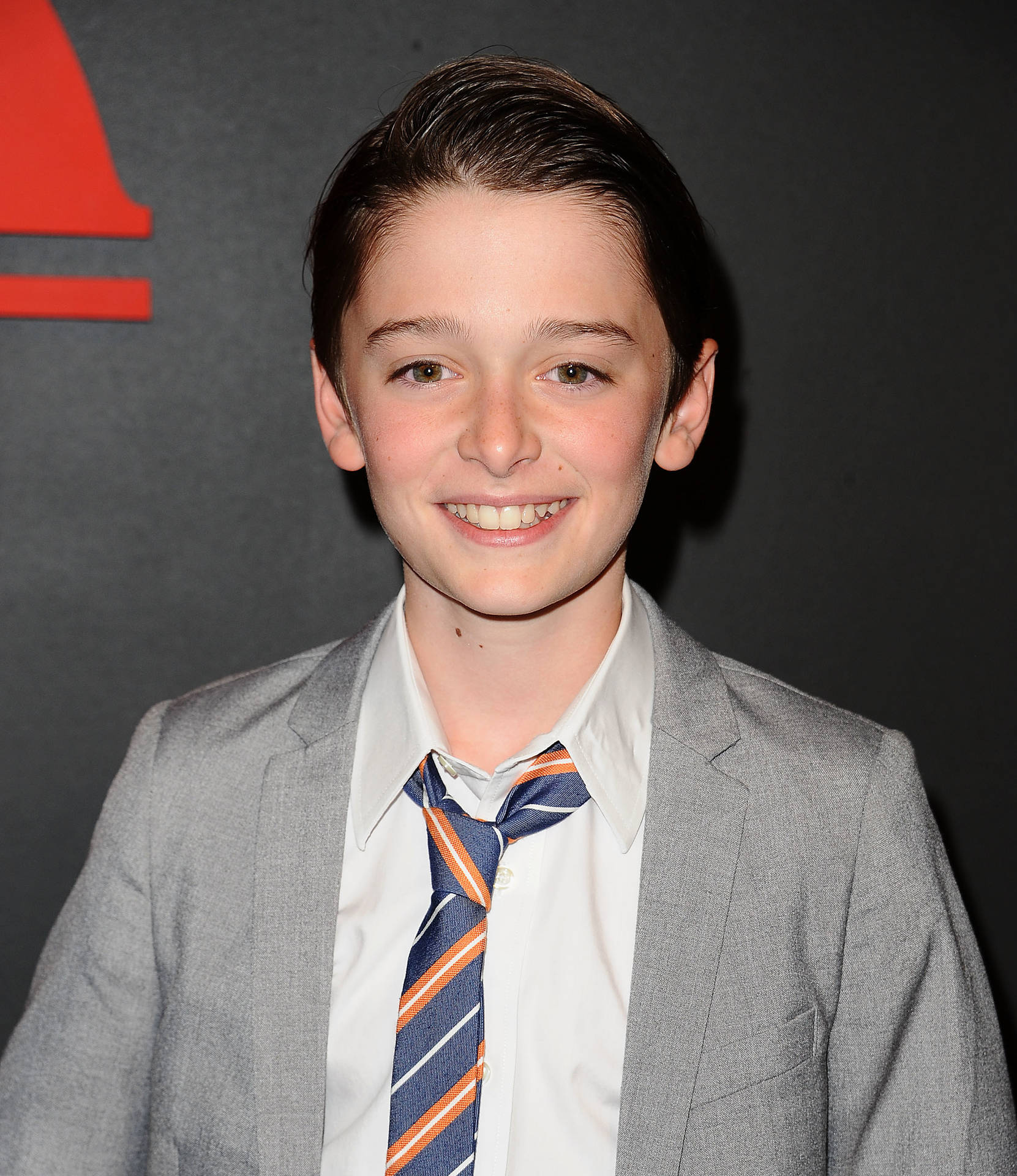 Young Noah Schnapp At Season Premiere Background