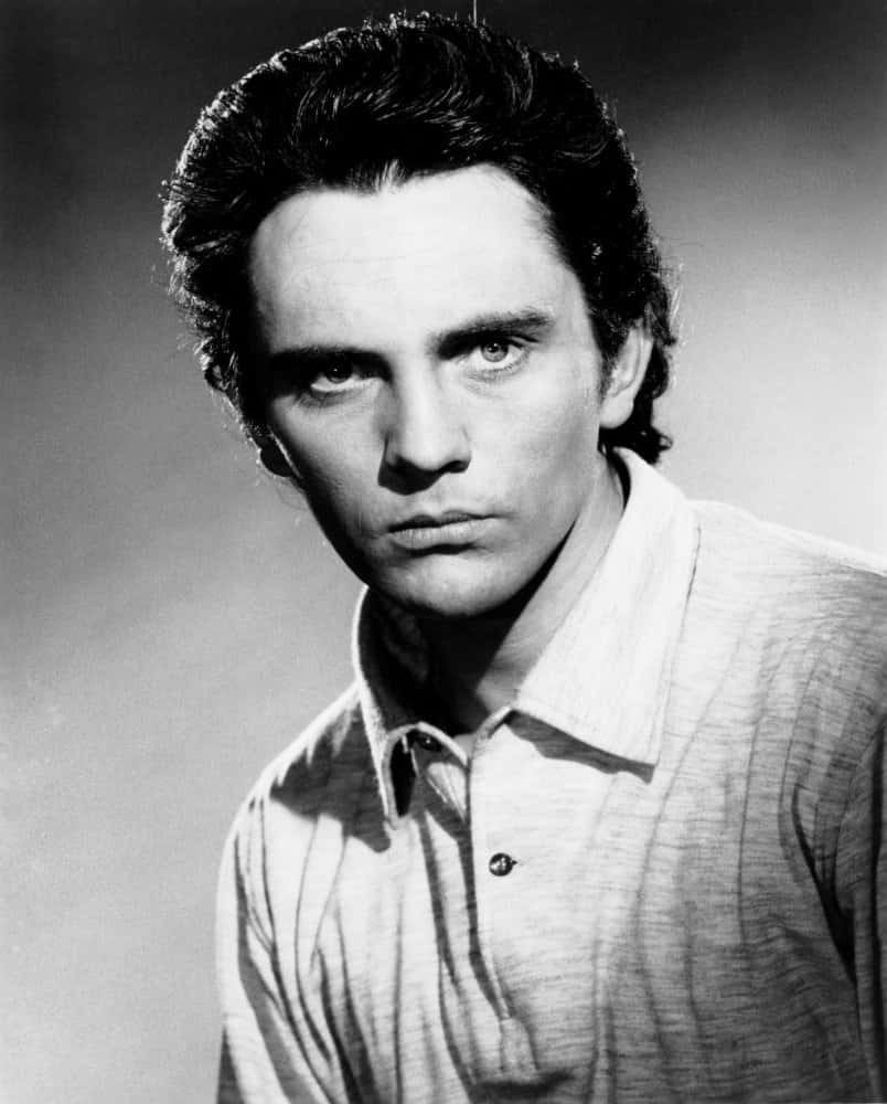 Young Terence Stamp Portrait Background