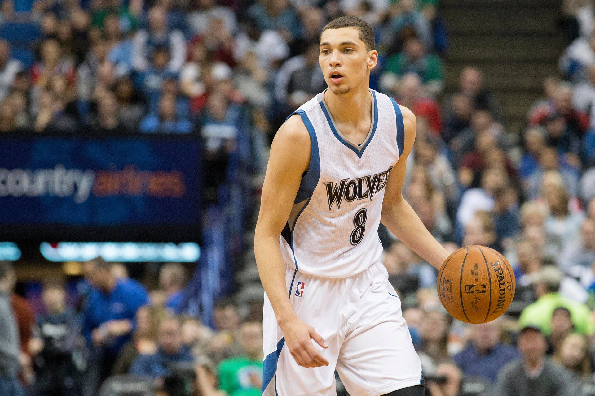 Young Wolves Player Zach Lavine Background