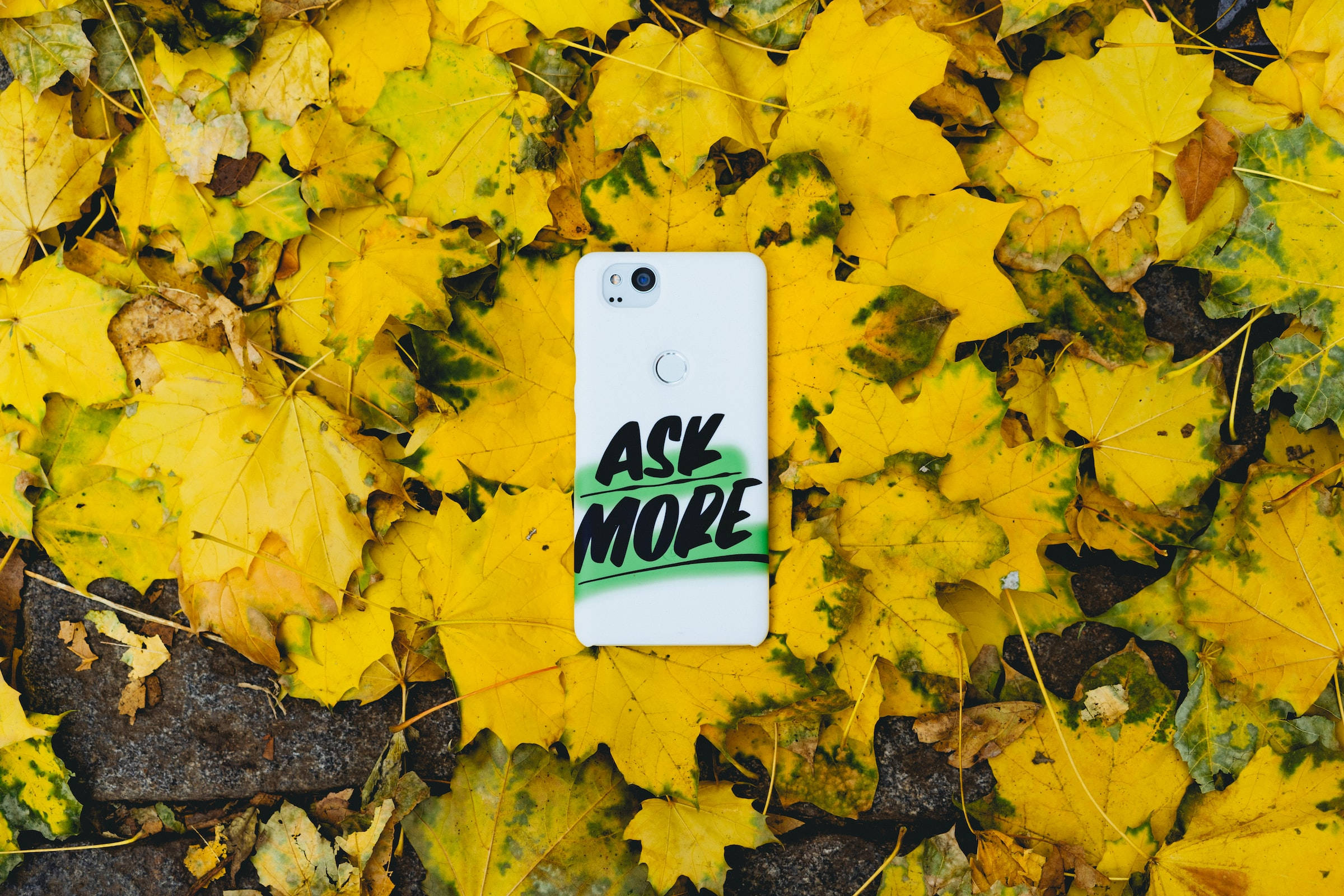 Youtube Cover Phone Maple Leaves Background
