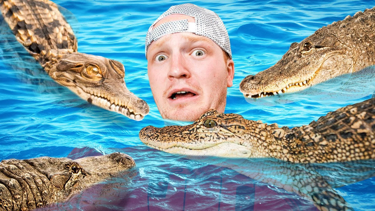 Youtuber Unspeakable Surrounded By Alligators