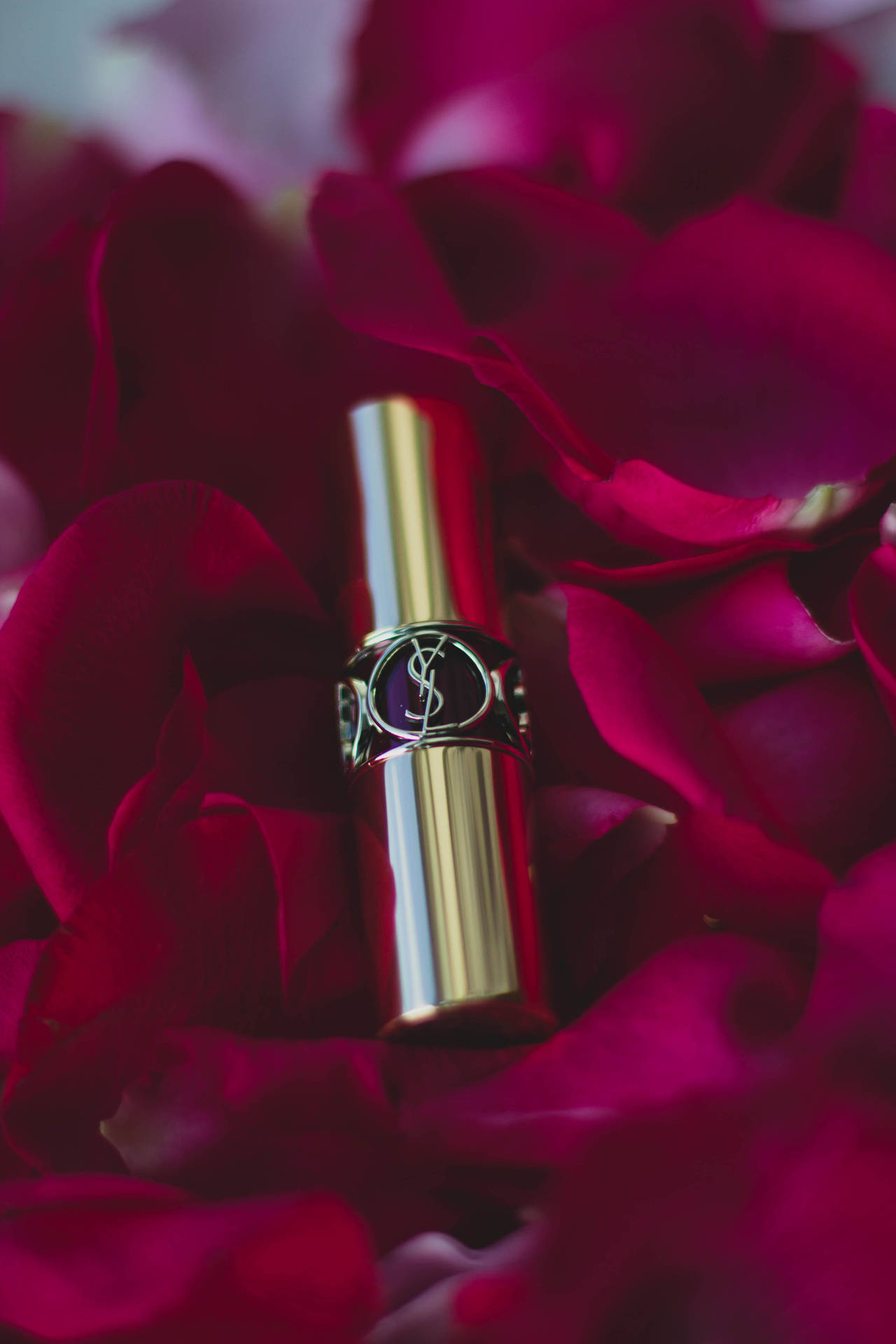 Ysl Lipstick In Petals Background