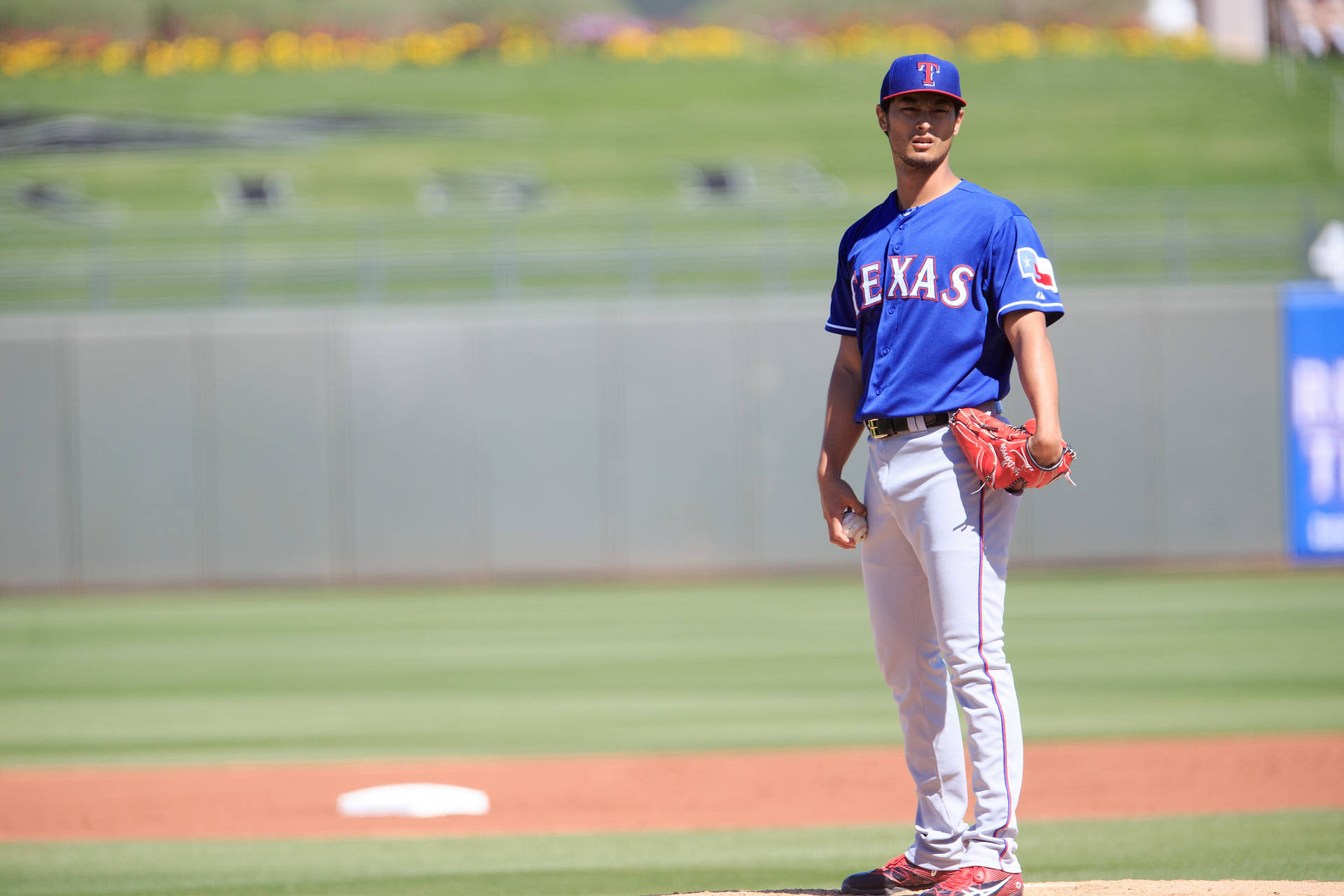 Yu Darvish In The Sun Background