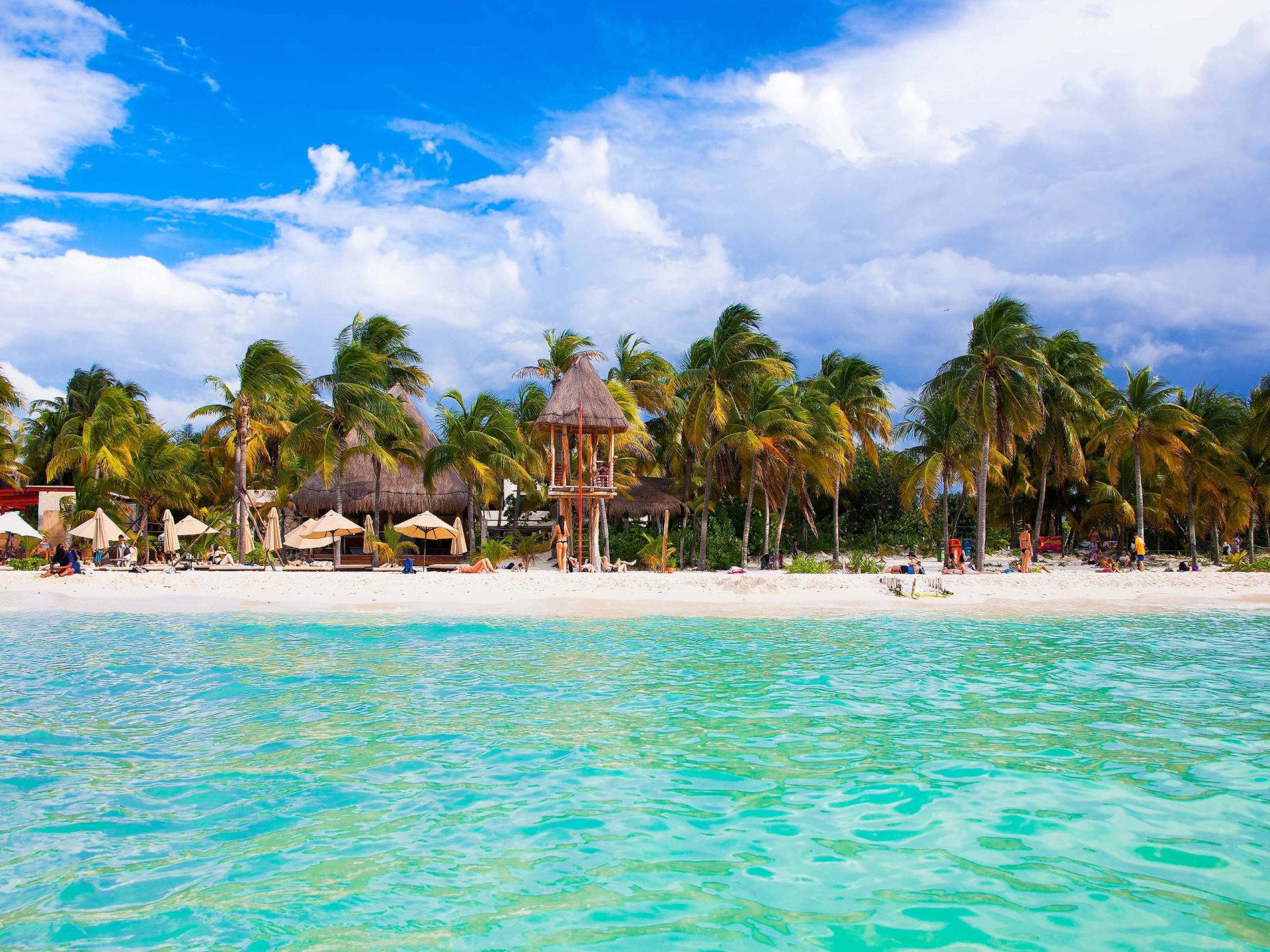 Yucatan Coconut Trees Resort Background