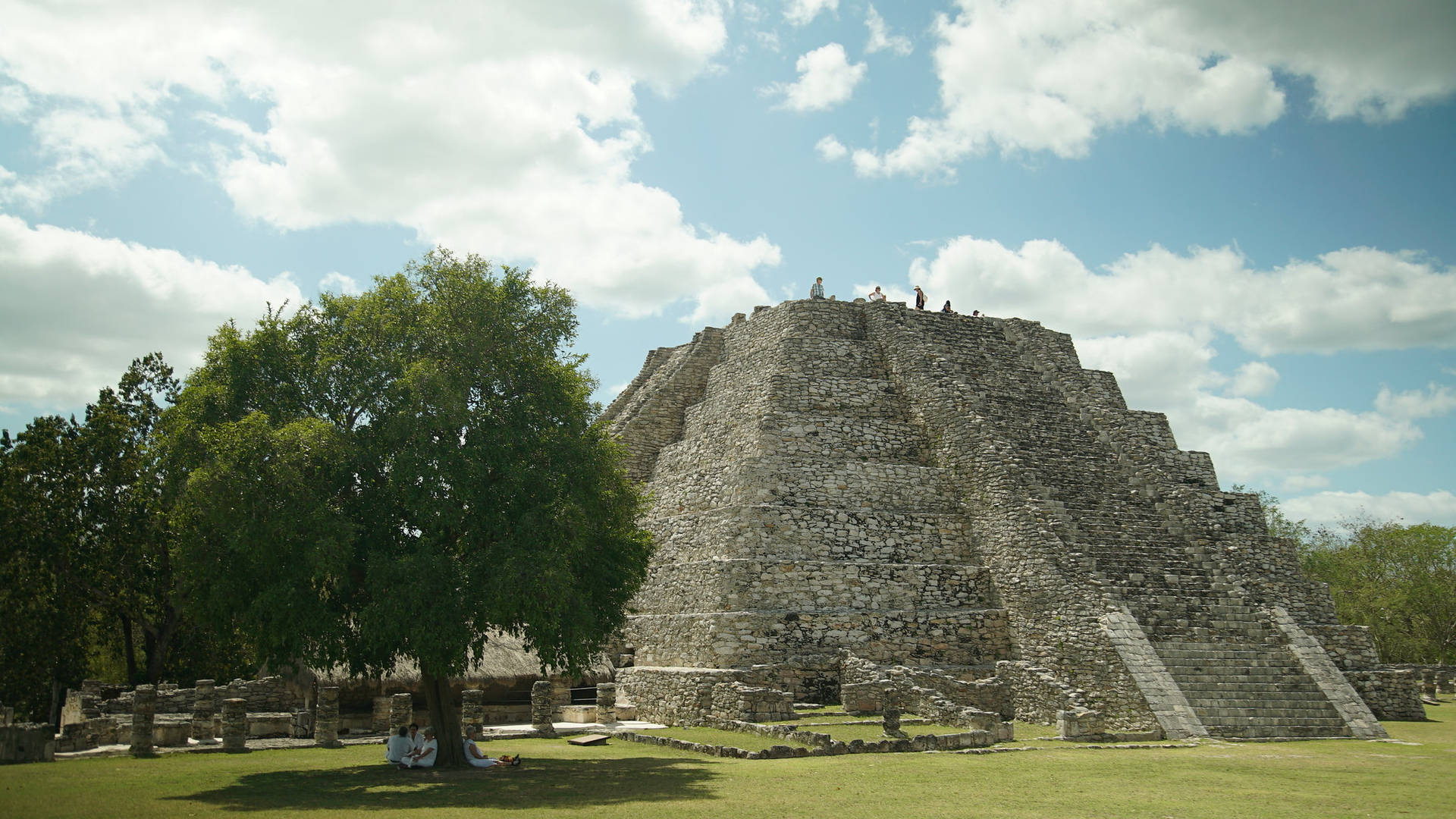 Yucatan Flat Top Pyramid Background