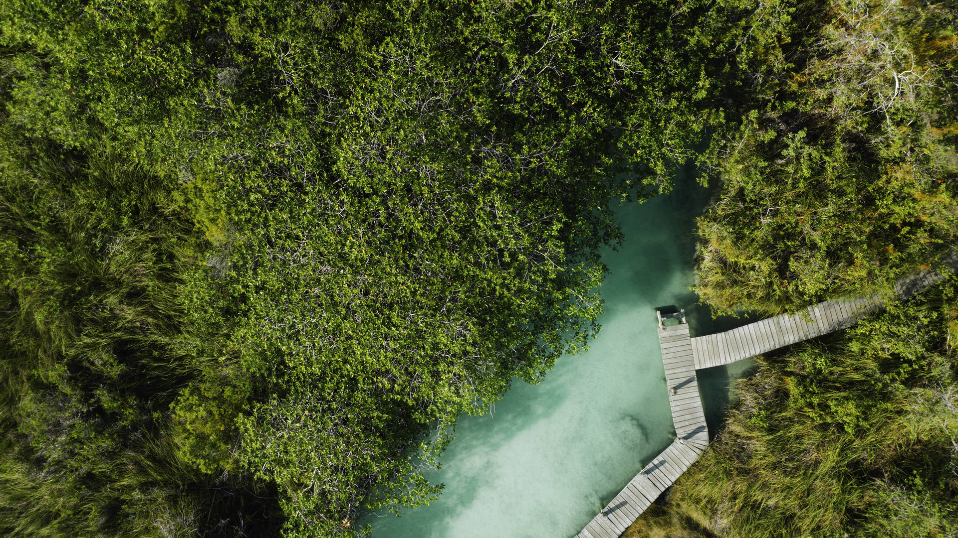 Yucatan Overhead Wooden Path