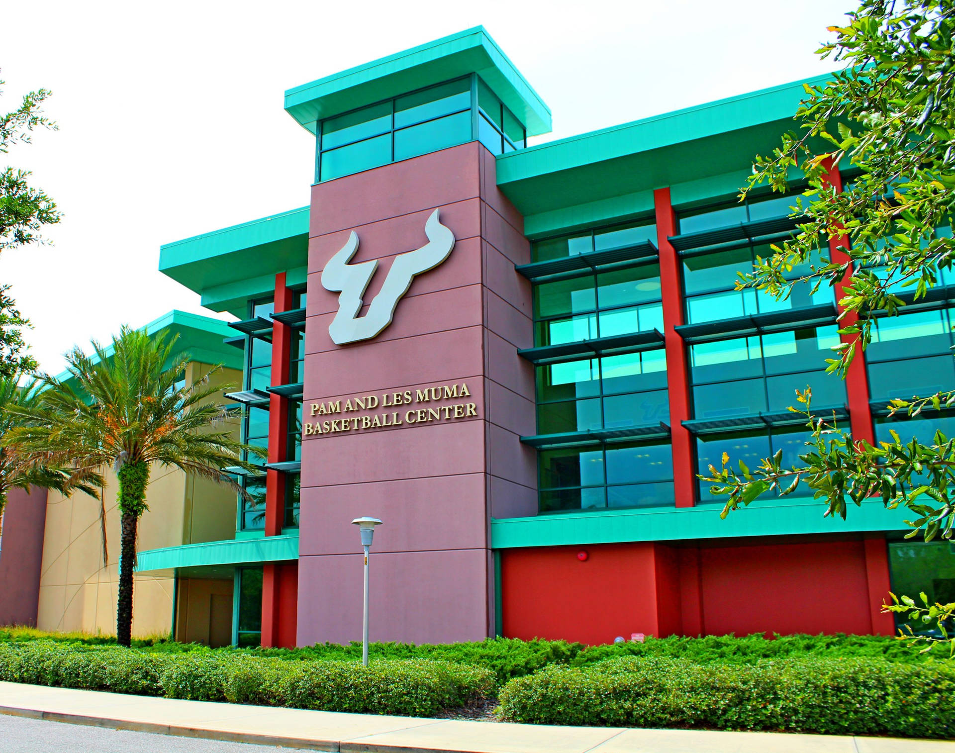 Yuengling Center At University Of South Florida Background