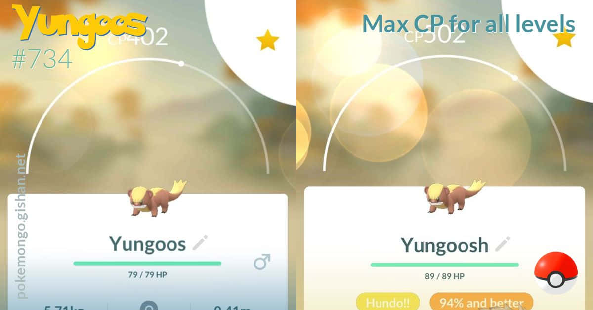 Yungoos 1200 X 627