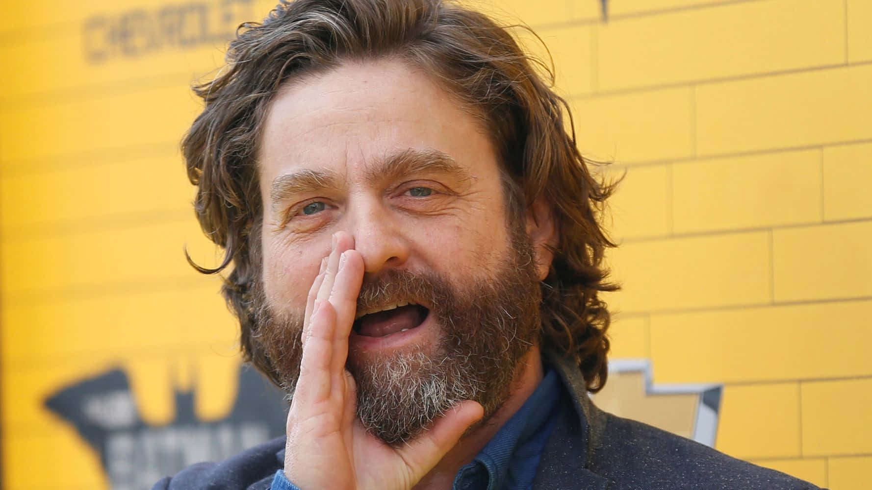 Zach Galifianakis - American Actor Comedian And Producer Background