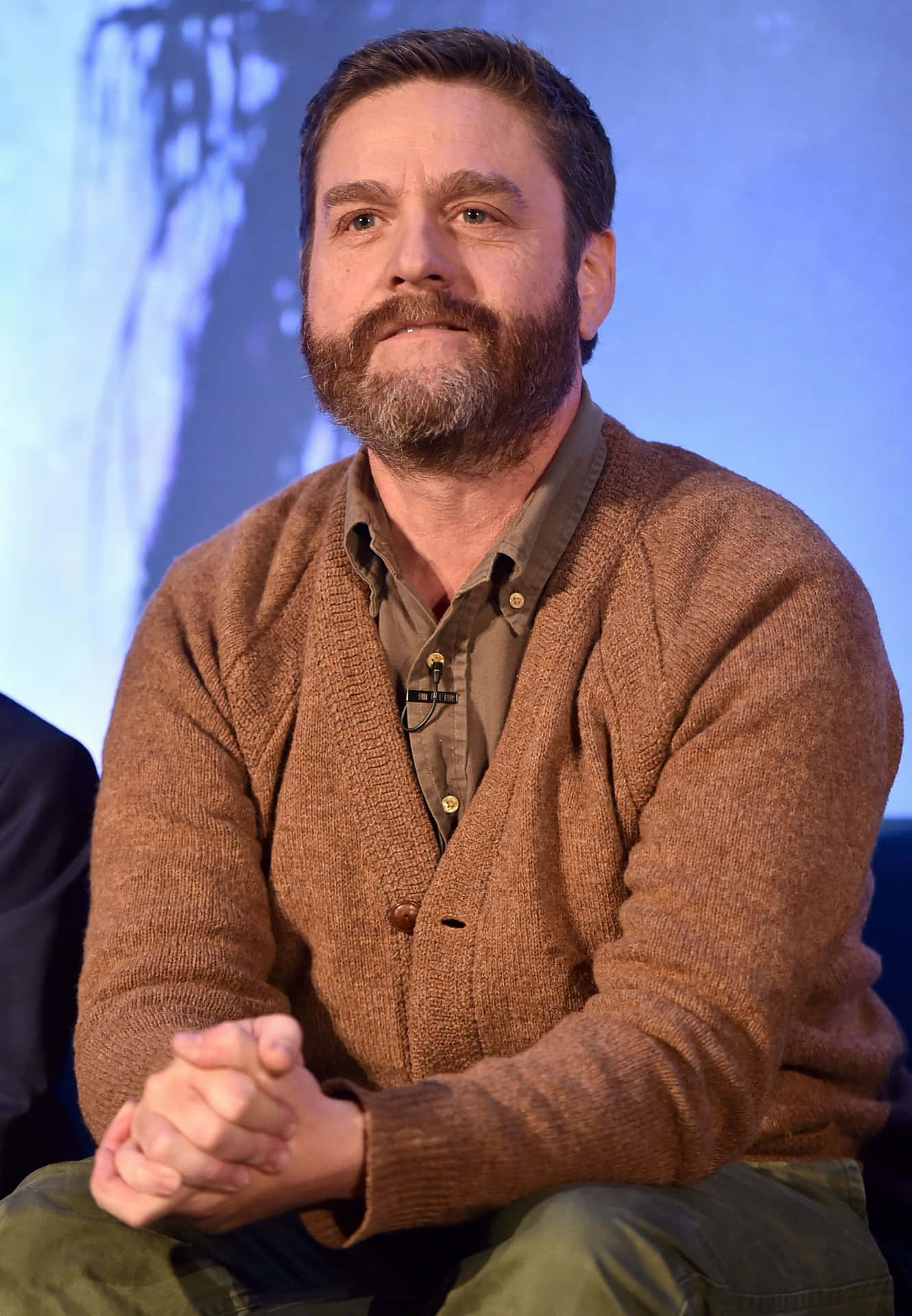 Zach Galifianakis Beards